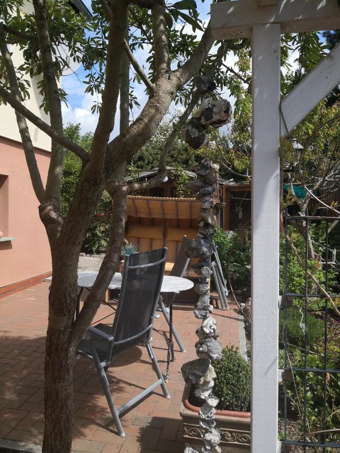 Casa Hibiscus Apartment พุทบัส ภายนอก รูปภาพ